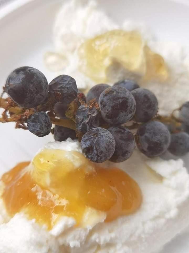 הוילה פראסקאטי Poggio Agli Ulivi מראה חיצוני תמונה