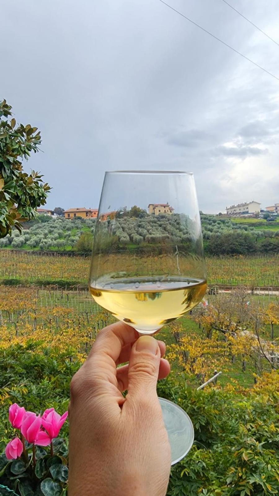 הוילה פראסקאטי Poggio Agli Ulivi מראה חיצוני תמונה